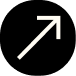Project accent icon